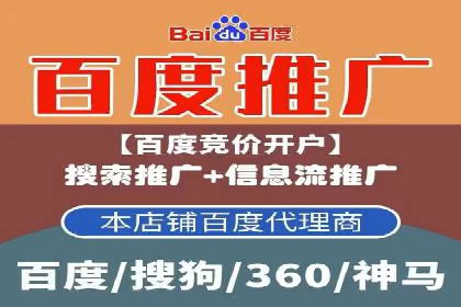 SEM广告投放的技巧与策略——成功案例分享